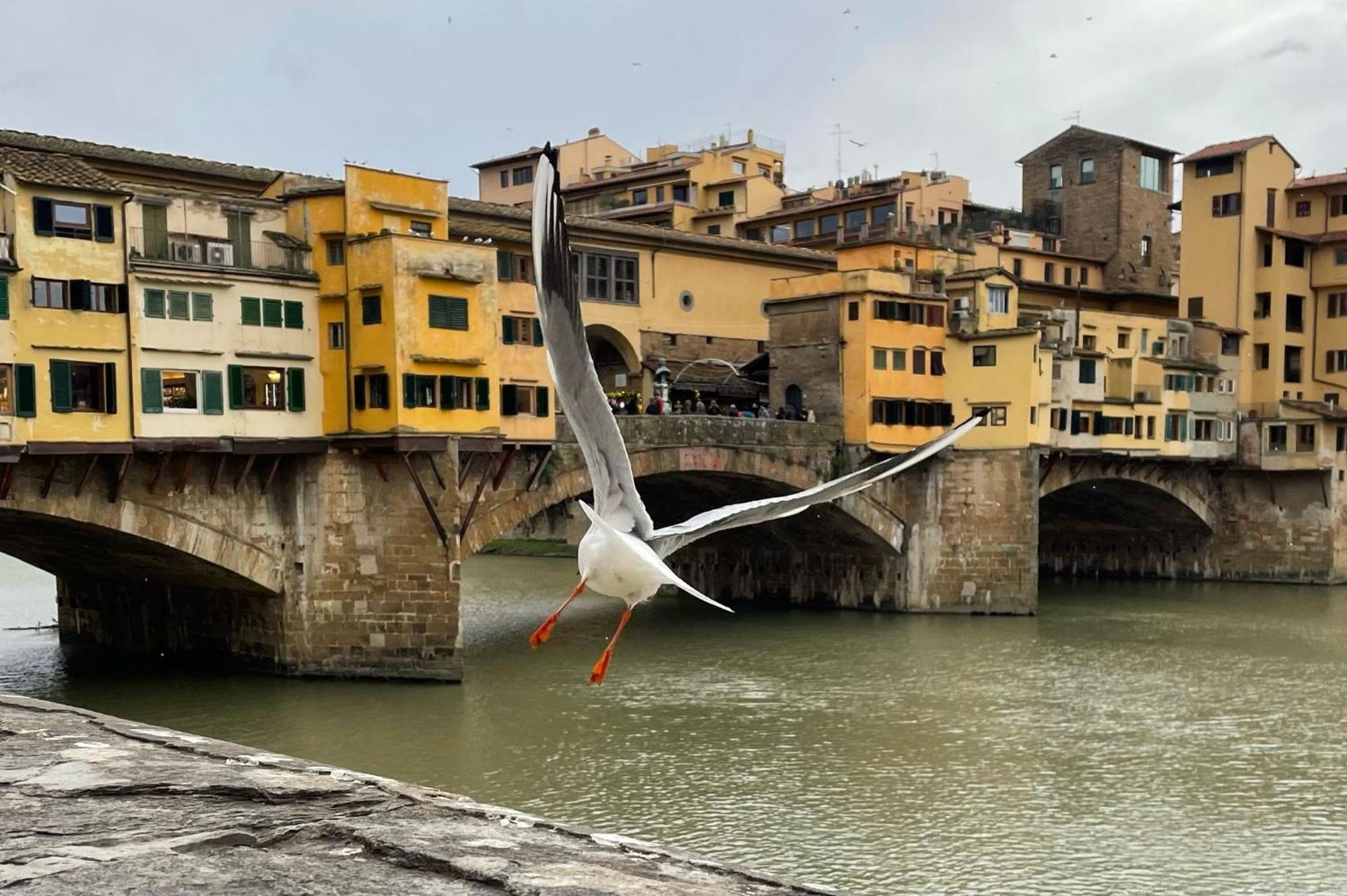 Modern Apartments In The Heart Of Florence Buitenkant foto